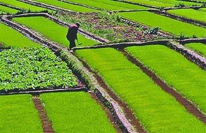 �ޱ���.jpg